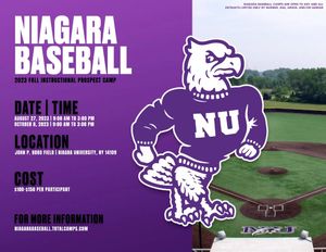 Image post by @niagarabaseball on Instagram