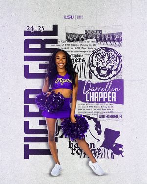 Image post by @lsutigergirls on Instagram