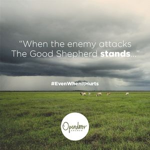 Image post by @opendoorchurchnc on Instagram