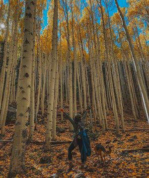 Image post by @nauflagstaff on Instagram