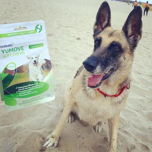 Image post by @yumove_usa on Instagram
