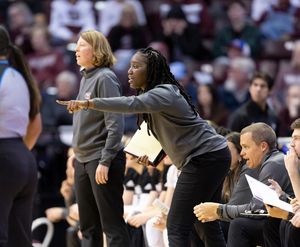 Image post by @msu_ladybears on Instagram