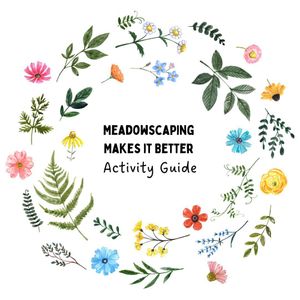 Image post by @kidsgardening on Instagram