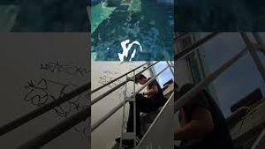 Video post by @zfromthealphabet on YouTube