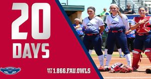 Image post by @fausoftball on Instagram