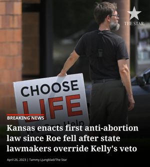 Image post by @thekansascitystar on Instagram