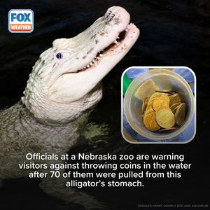 Image post by @foxweather on Instagram