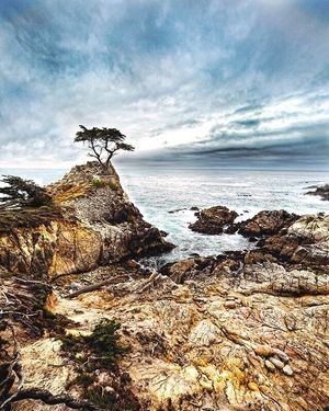Image post by @pebblebeachresorts on Instagram