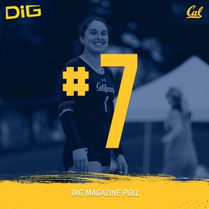 Image post by @calbeachvb on Instagram