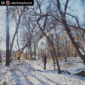 Image post by @fargoparks on Instagram