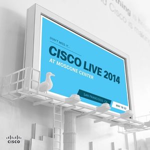 Image post by @cisco on Instagram