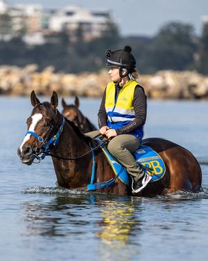 Image post by @australianturfclub on Instagram