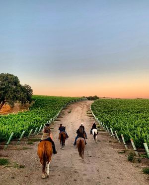 Image post by @thrillist on Instagram