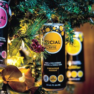 Image post by @sociallitevodka on Instagram
