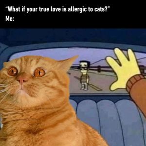 Image post by @9gag on Instagram