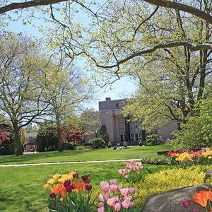 Image post by @hofstrau on Instagram