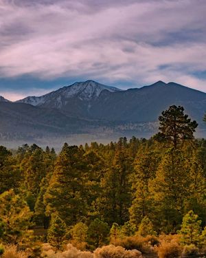 Image post by @nauflagstaff on Instagram