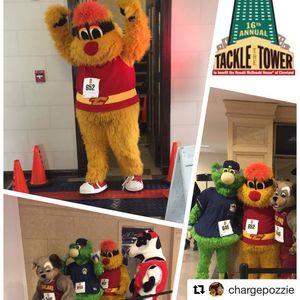 Image post by @chargecle on Instagram