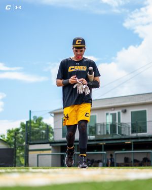 Image post by @thecanesbb on Instagram