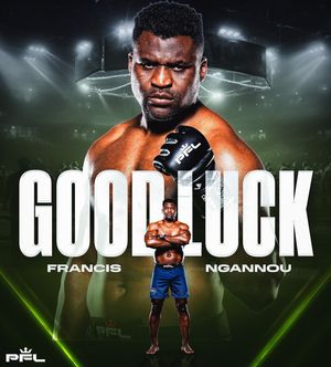 Image post by @pflmma on Instagram