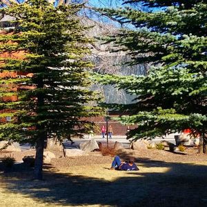 Image post by @nauflagstaff on Instagram