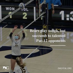 Image post by @dailycalsports on Instagram