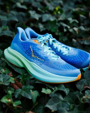 Image post by @fleetfeetsports on Instagram
