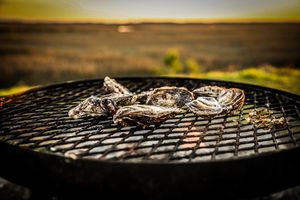 Image post by @toadfishoutfitters on Instagram