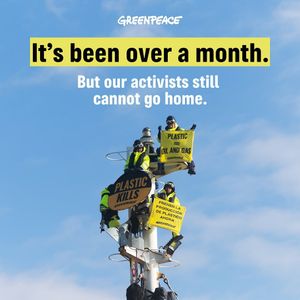 Image post by @greenpeace on Instagram