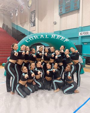 Image post by @varsitycudettes on Instagram