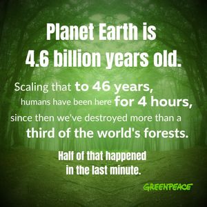 Image post by @greenpeace on Instagram