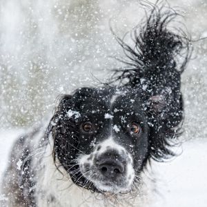 Image post by @animalplanet on Instagram