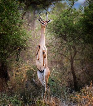 Image post by @discovery on Instagram
