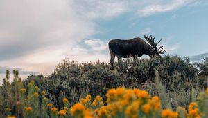 Image post by @vsco on Instagram
