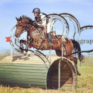 Image post by @gundyparkequine on Instagram