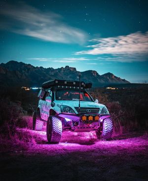 Image post by @dobinsonsusa on Instagram