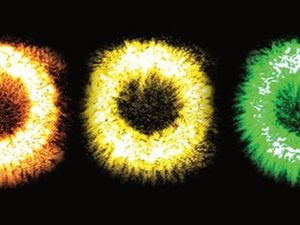 Image post by @optica.worldwide on Instagram