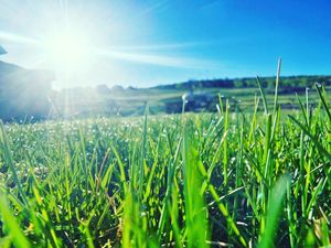 Image post by @granbyranch on Instagram