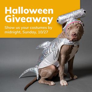 Image post by @yourfuzzy on Instagram