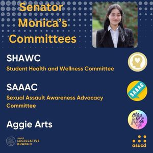 Image post by @senatormonica on Instagram
