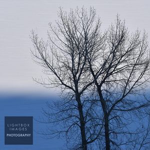 Image post by @lightboximages on Instagram
