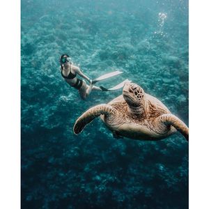 Image post by @kaikinibikinis on Instagram