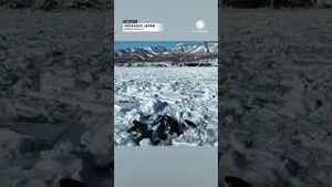 Video post by @accuweather on YouTube