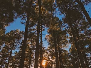 Image post by @nauflagstaff on Instagram