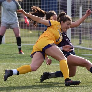 Image post by @lipscombwsoc on Instagram
