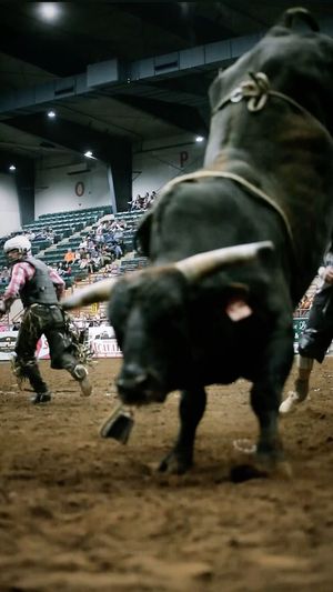 Video post by @pbrperrygaheartofgashootout on Facebook