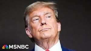 Video post by @msnbc on YouTube