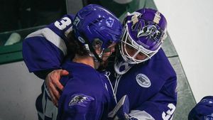 Image post by @NiagaraMHKY on Twitter/X