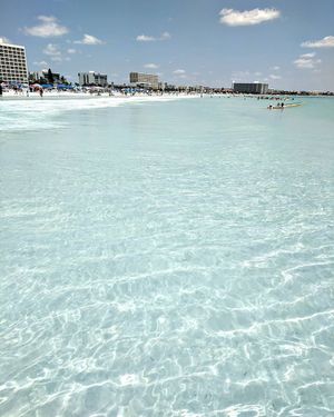Image post by @visitsarasotacounty on Instagram