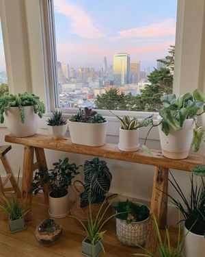 Image post by @onlyinsf on Instagram